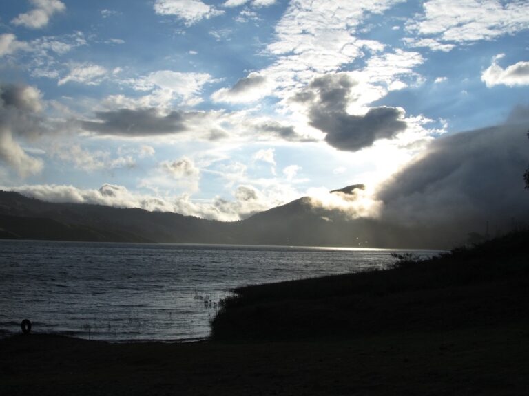Pasando de medicamentos a una alimentación revolucionaria